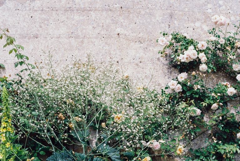individual work